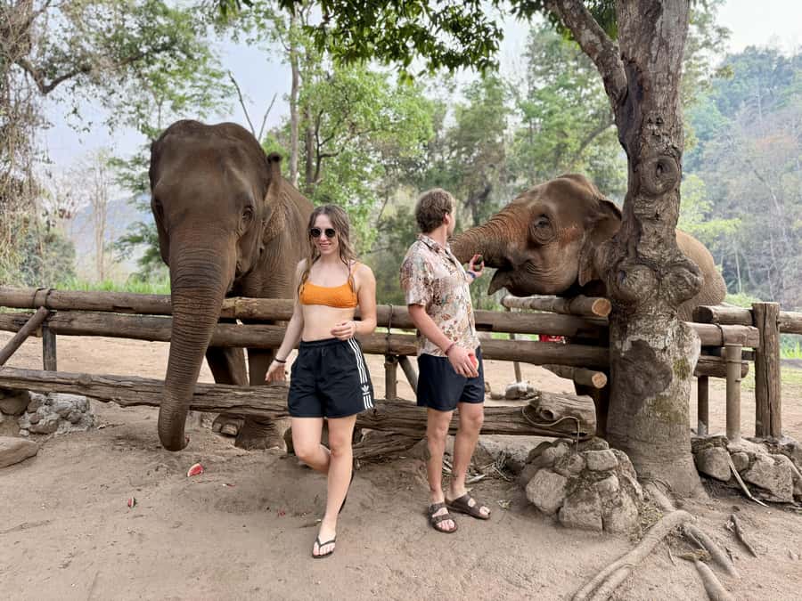 Chiang Mai Half-Day Adventure: River Tubing & Waterfall - Timing, Transfers, and What to Pack So You Don’t Hate It