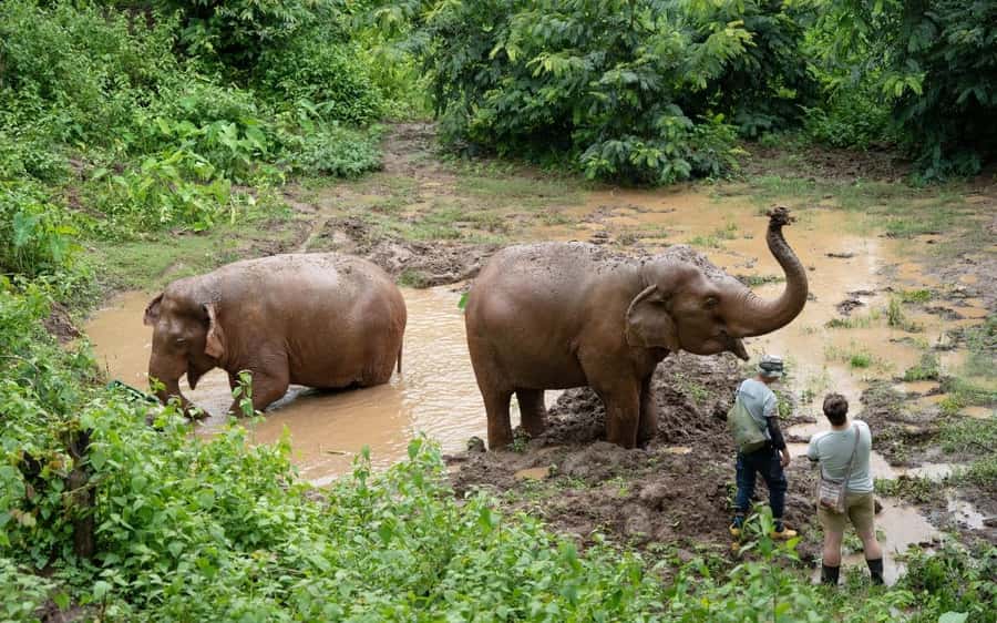 Chiang Mai Half-Day Adventure: River Tubing & Waterfall - Eco Notes You’ll Actually See During the Tour