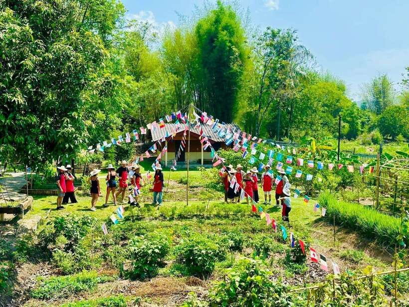 Chiang Mai: Half Day Cooking Class at Organic Farm - Inside the Kitchen: How the Class Runs for Up to 10 People