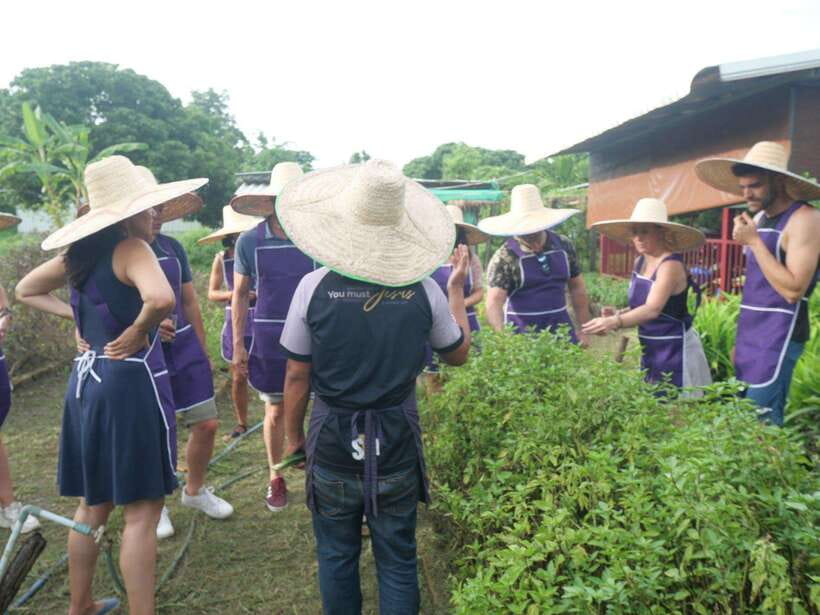 Chiang Mai: Half Day Cooking Class at Organic Farm - Herbs From the Garden: A Small Tour With Big Payoff