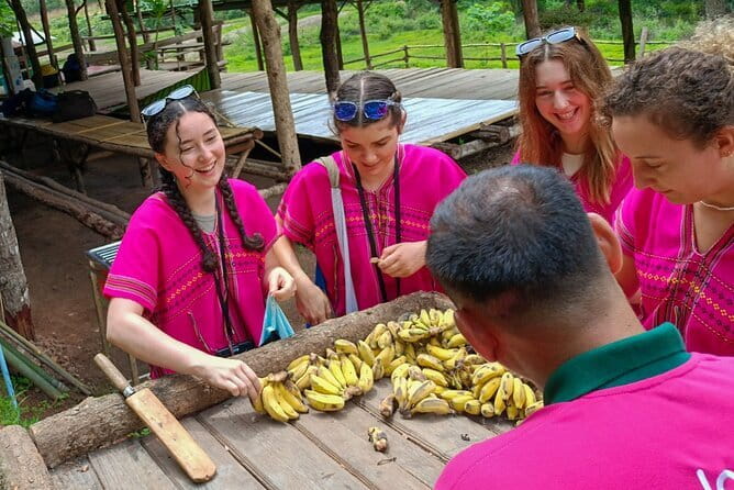 Chiang Mai Half Day Elephant Sanctuary Observation and Waterfall - How the Thung Luang Setting Changes the Whole Vibe
