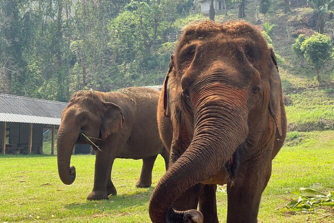 Chiang Mai Half Day Elephant Sanctuary Observation and Waterfall - The Thai Craft Moment: A Souvenir With Meaning