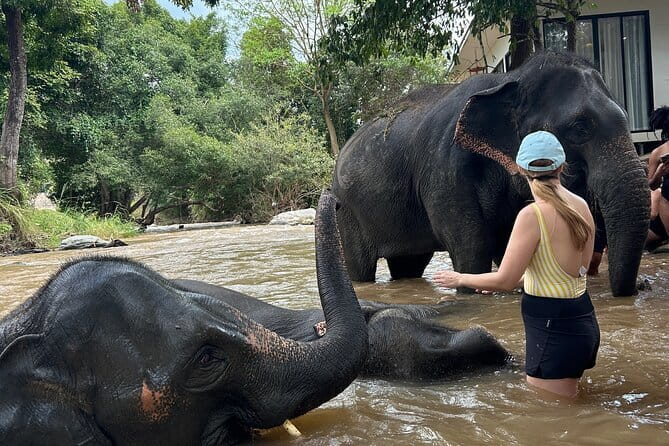 Chiang Mai Half Day Elephant Sanctuary Observation and Waterfall - What to Bring (So the Day Stays Comfortable)