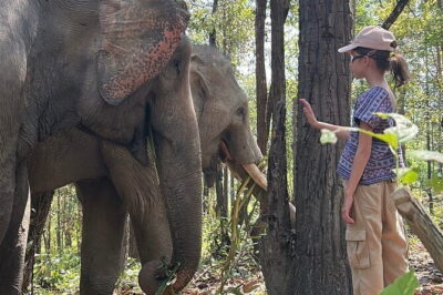 Chiang Mai Half Day Tour: Doi Inthanon Elephant Sanctuary - Price and logistics: the 7:30 am start and how the timing works