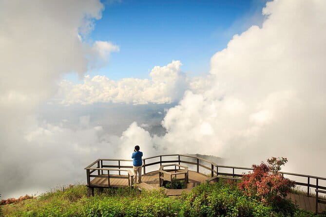 Chiang Mai Half Day Tour: Doi Inthanon Elephant Sanctuary - How big is the group, and why it affects your experience