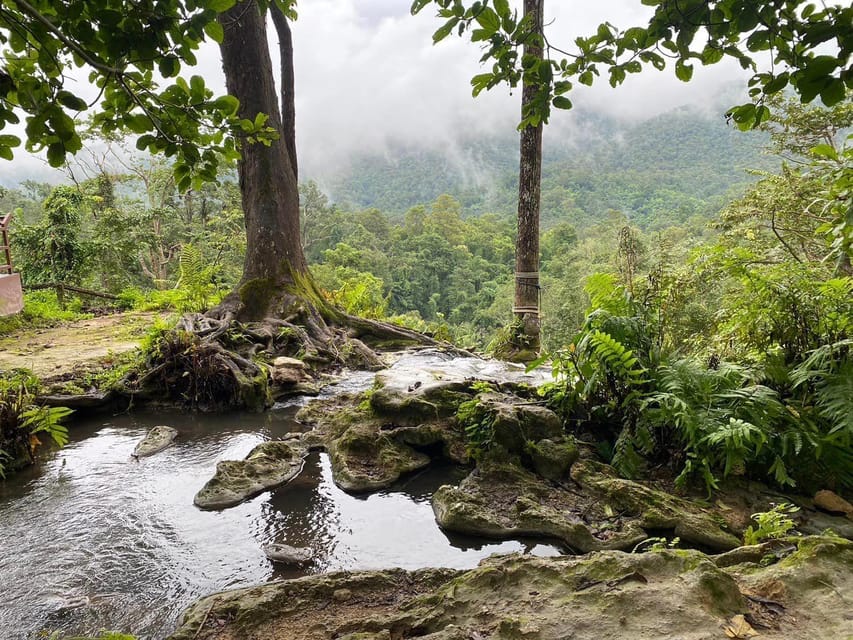 Chiang Mai Half Day Tour: Sticky Waterfall & Hotel Transfer - From Chiang Mai to Bua Tong: how the transfer really feels