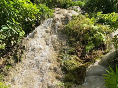 Chiang Mai Half Day Tour: Sticky Waterfall & Hotel Transfer - The Sticky Waterfalls climb: why it works (and why it’s fun)