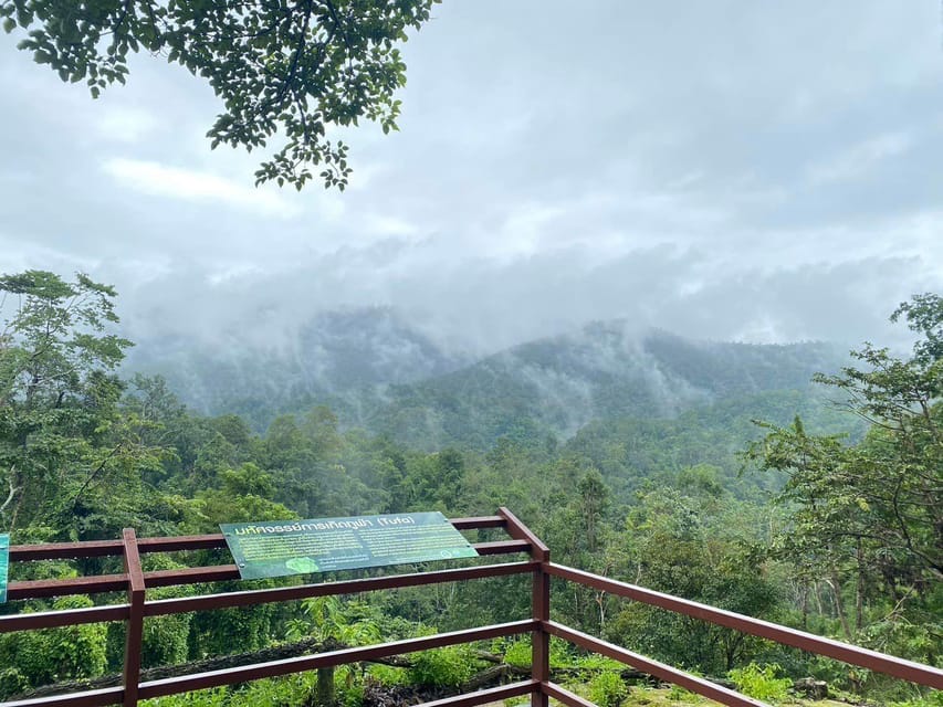Chiang Mai Half Day Tour: Sticky Waterfall & Hotel Transfer - What you actually do during your 2 hours at the park