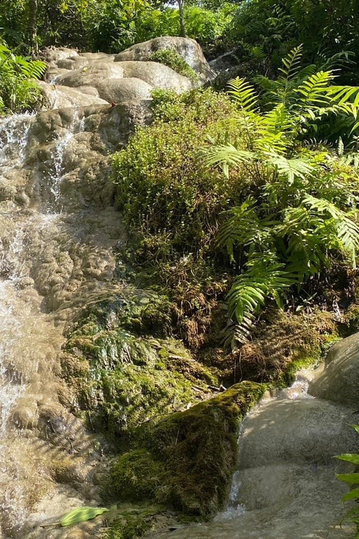 Chiang Mai Half Day Tour: Sticky Waterfall & Hotel Transfer - Price and value: is $21 a good deal?