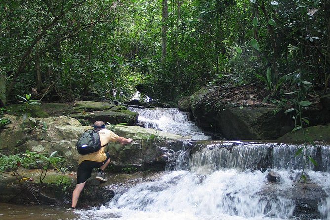 Chiang mai Hike & Downhill Bike Adventure –Suthep National Park - The Fitness Reality Check: Steep Jungle Climb + Technical Downhill