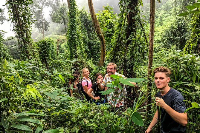 Chiang mai Hike & Downhill Bike Adventure –Suthep National Park - Mon Da Than Waterfall Trailhead: Jungle Climb with Real Effort