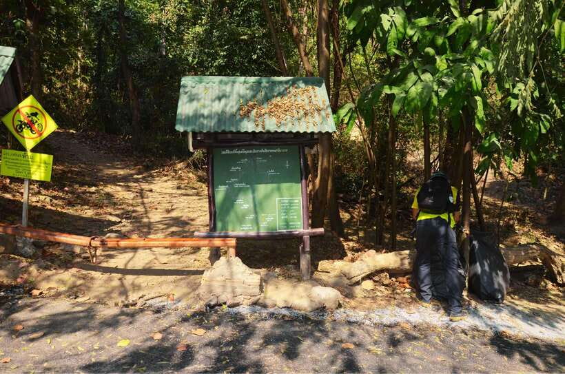Chiang Mai: Hike on Monk’s Trail and Doi Suthep Private Tour - How the 4 Hours Actually Work (and Why That’s a Win)