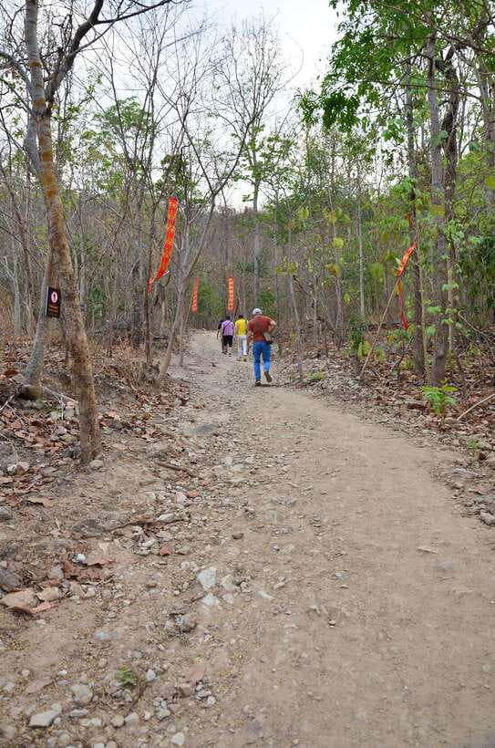 Chiang Mai: Hike on Monk’s Trail and Doi Suthep Private Tour - Price and Value: Why $57 Can Make Sense Here