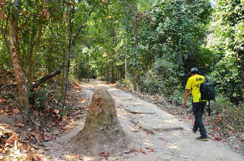 Chiang Mai: Hike on Monk’s Trail and Doi Suthep Private Tour - Who This Tour Fits Best (and Who Should Skip It)