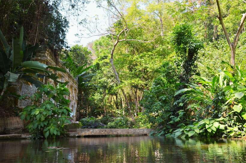 Chiang Mai: Hike on Monk’s Trail and Doi Suthep Private Tour - What to Pack: Small Things That Make Temple Morning Go Smoothly