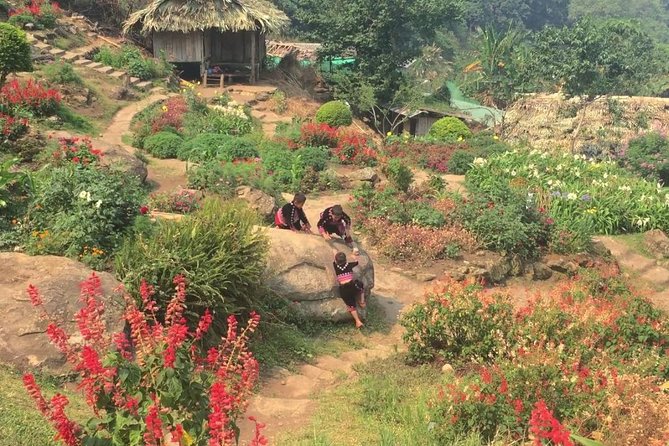 Chiang Mai Iconic Temples and City Tour - Door-to-door transport and timing that fits real life