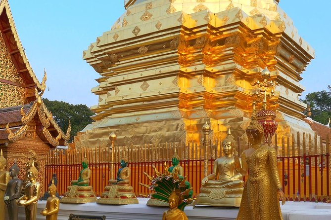 Chiang Mai Iconic Temples and City Tour - Wat Suan Dok: bell-shaped stupa and 14th-century atmosphere