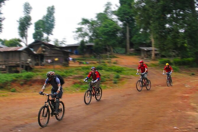 Chiang Mai: Inthanon, Elephant Sanctuary Observation & Waterfall - Ban Mae Klang Luang: Karen culture and forest-life ideas