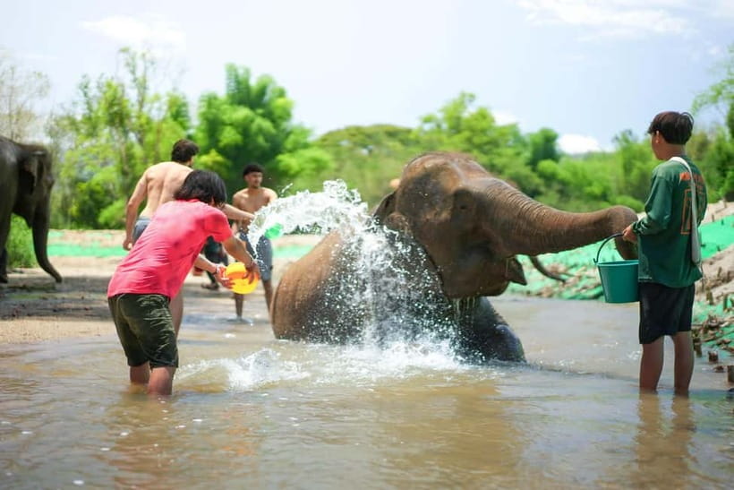 Chiang Mai: Jungle Jumbo Elephant Sanctuary with Waterfall - The guided walk to the waterfall: a jungle rhythm you can actually enjoy