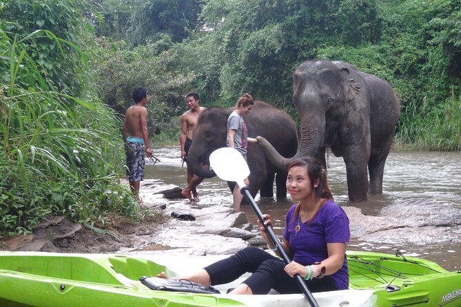 Chiang Mai: Jungle Kayak Adventure with Rapids & Elephants - Elephant camps and wildlife sightings from the water