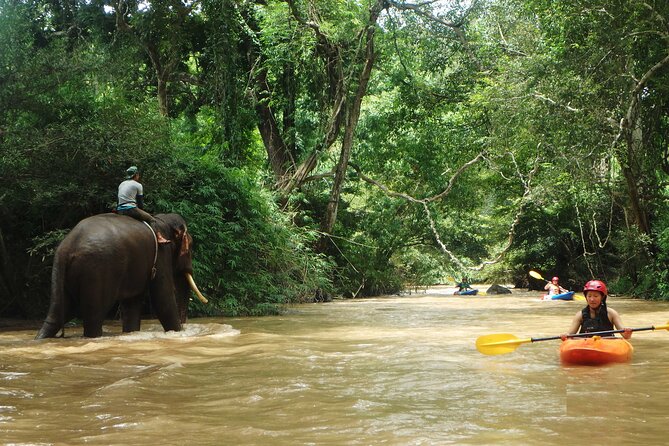 Chiang Mai: Jungle Kayak Adventure with Rapids & Elephants - Price and value: why $81.24 can make sense here