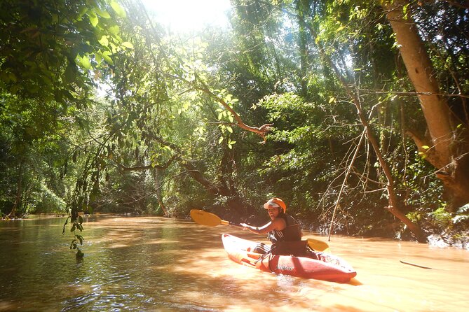 Chiang Mai : Kayak the Jungle Rivers of Chiang Dao Valley! - Paddling the Ping River creeks and bamboo forests (what it actually feels like)