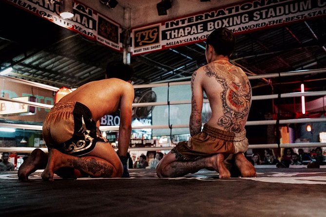 Chiang Mai Muay Thai Boxing Live at Thapae Stadium - What to expect in the ring: real fights, real pace