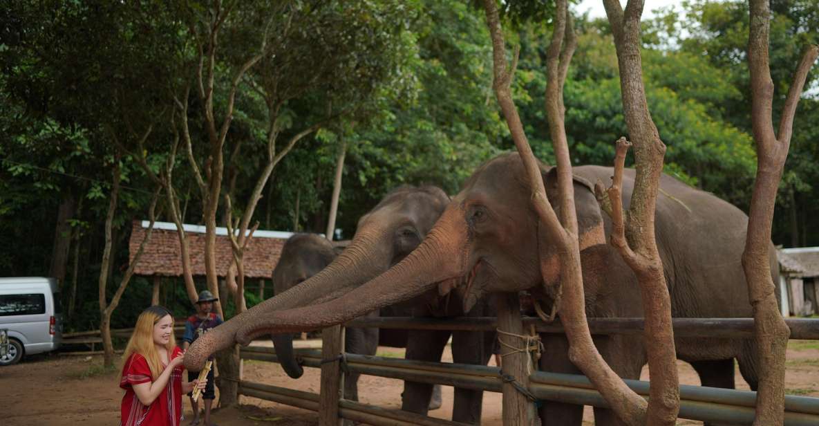 Chiang Mai: National Elephant Care, Rafting, & Ziplines Trip - From Your Hotel to Mae Wang: How the Morning Flows