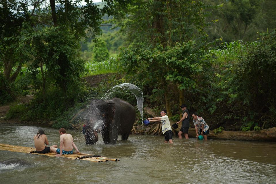 Chiang Mai: National Elephant Care, Rafting, & Ziplines Trip - Making a Herbal Vitamin Ball: A Hands-On Learning Moment