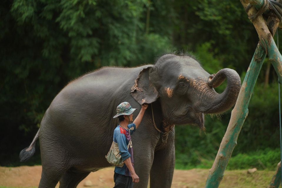 Chiang Mai: National Elephant Care, Rafting, & Ziplines Trip - Bamboo Rafting on the Mae Wang River (45 Minutes)