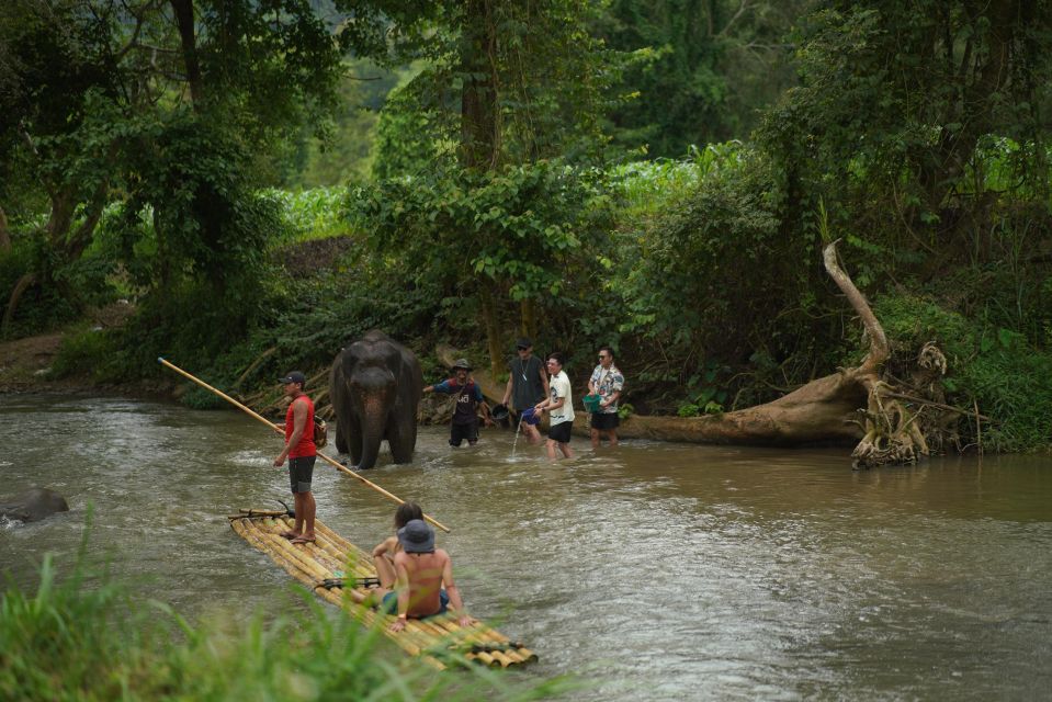Chiang Mai: National Elephant Care, Rafting, & Ziplines Trip - Who This Trip Fits Best (and Who Might Skip It)