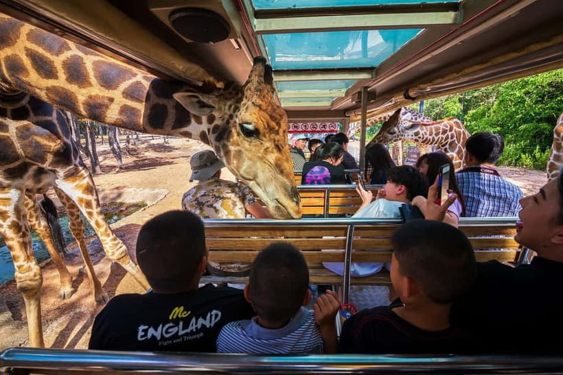Chiang Mai Night Safari: Entry Ticket with Tram Ride - Jaguar Trail Zone: the best warm-up for nighttime viewing