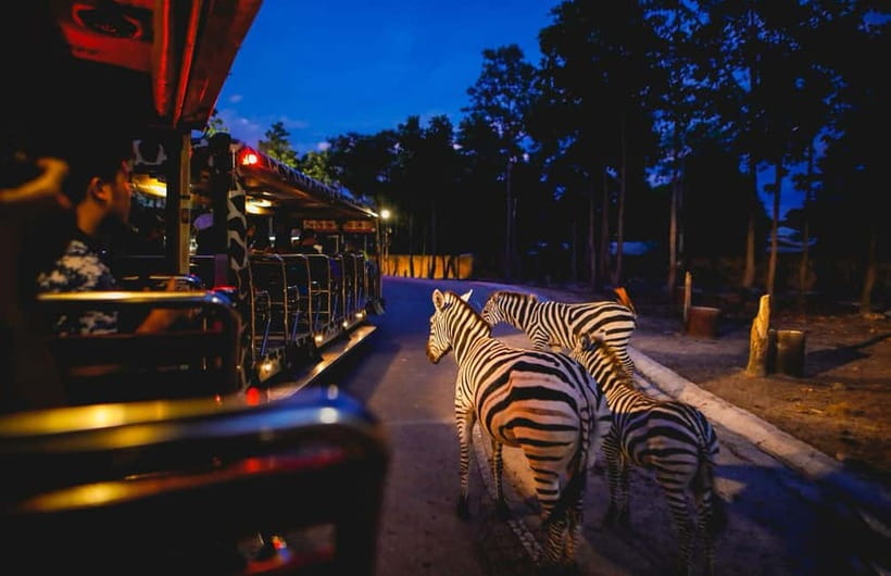 Chiang Mai Night Safari Ticket & Tram Rides Optional Pickup - Key Takeaways Before You Go