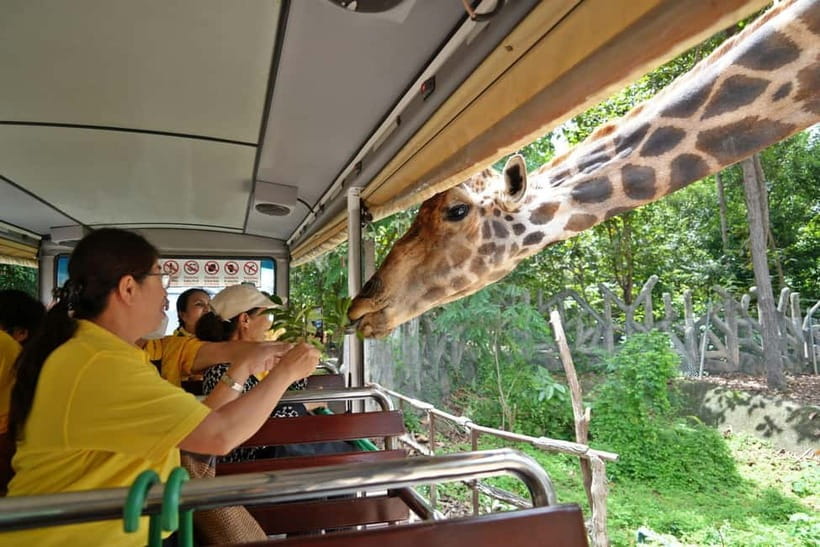 Chiang Mai Night Safari Ticket & Tram Rides Optional Pickup - Walking Trails at Your Own Pace: Where the Evening Unfolds