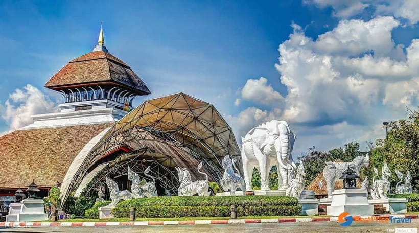 Chiang Mai Night Safari Ticket & Tram Rides Optional Pickup - Pickup and Meet Points: Easy Chiang Mai Logistics