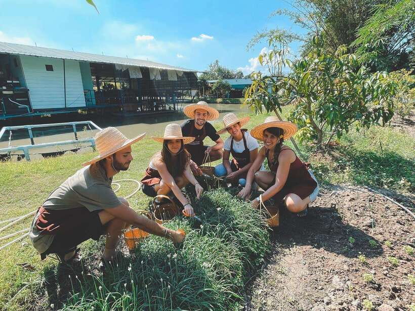 Chiang Mai Organic Thai Cooking Experience - Vegetarian and Vegan Options: Built for Real Preferences