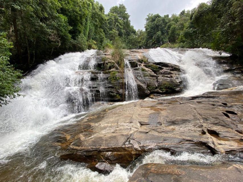 Chiang Mai: Pha Dok Siew Nature Trail & Doi Inthanon Trip - Key Stops and What They’re Really Like