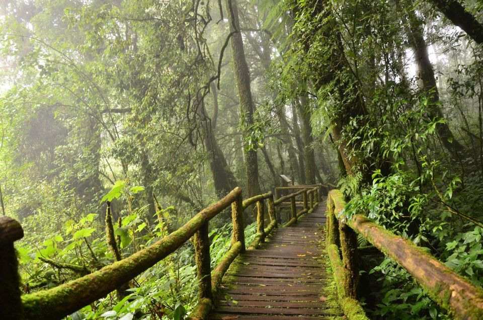 Chiang Mai: Pha Dok Siew Nature Trail & Doi Inthanon Trip - A Full-Day Combo Tour: Waterfalls, Thailand’s Highest Peak, and Hill-Tribe Culture