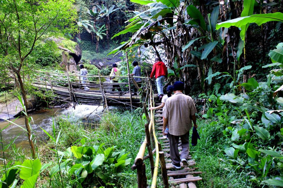 Chiang Mai: Pha Dok Siew Nature Trail & Doi Inthanon Trip - Forest Survival Know-How: Medicine, Food, and Tools in Plain Terms