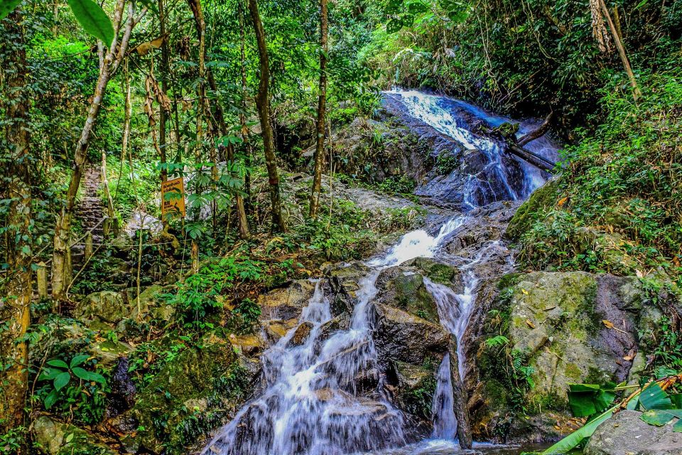 Chiang Mai: Pha Dok Siew Nature Trail & Doi Inthanon Trip - Doi Inthanon National Park: Roof of Thailand Views at 2,565 Meters