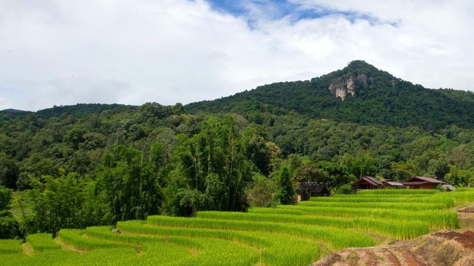 Chiang Mai: Pha Dok Siew Nature Trail & Doi Inthanon Trip - King and Queen Pagodas: Beautiful, With a Dress Code You Must Follow