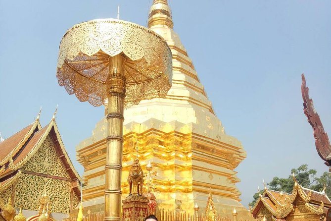 Chiang Mai Private Tour with Tea Plantation, Karen Village, Doi Suthep - Why This Chiang Mai Private Day Tour Works (Tea, Karen Village, Doi Suthep)