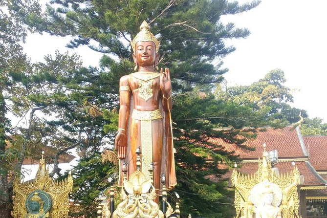 Chiang Mai Private Tour with Tea Plantation, Karen Village, Doi Suthep - Bai Orchid and Butterfly Farm Lunch Stop: Food, Flowers, and Fun
