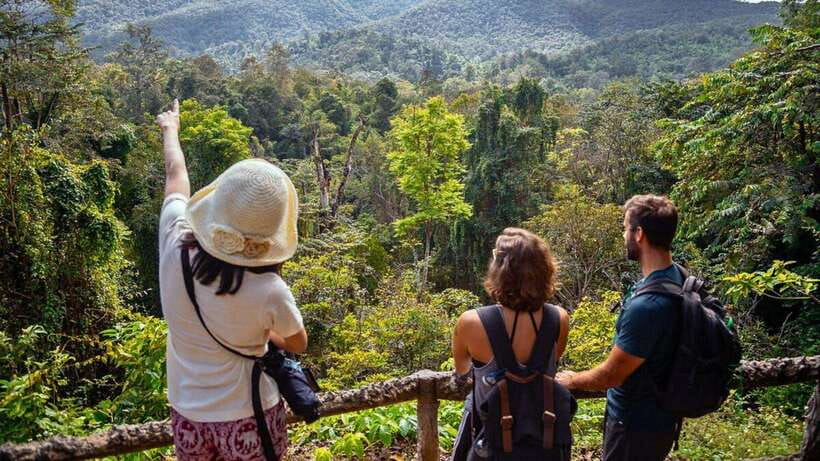 Chiang Mai: Sticky Waterfall, Chet Si Fountain Park Transfer - Sticky Waterfall Time: How to Make the Most of Your Climb Hours