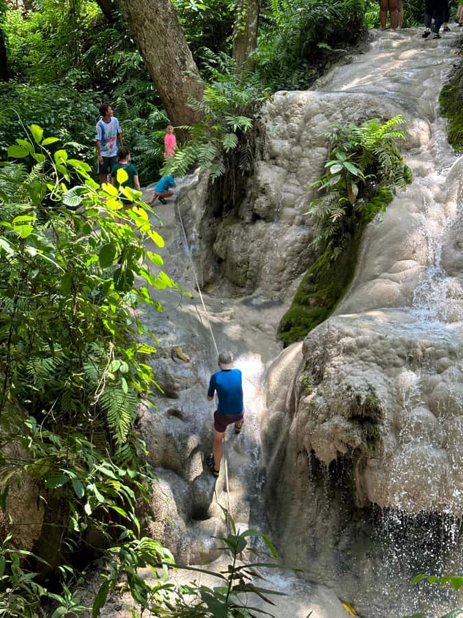 Chiang Mai : Sticky waterfall (Half Day Tour) Hotel Transfer - Price and Value: Why This $19 Tour Can Be a Good Deal