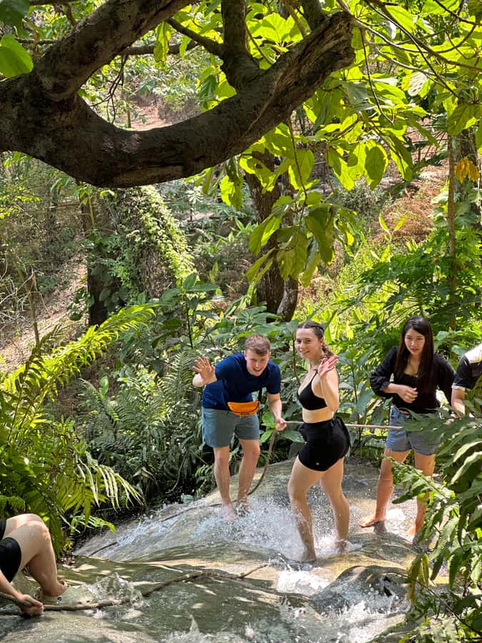 Chiang Mai : Sticky waterfall (Half Day Tour) Hotel Transfer - Who Should Book This Sticky Waterfall Tour (and Who Should Skip)