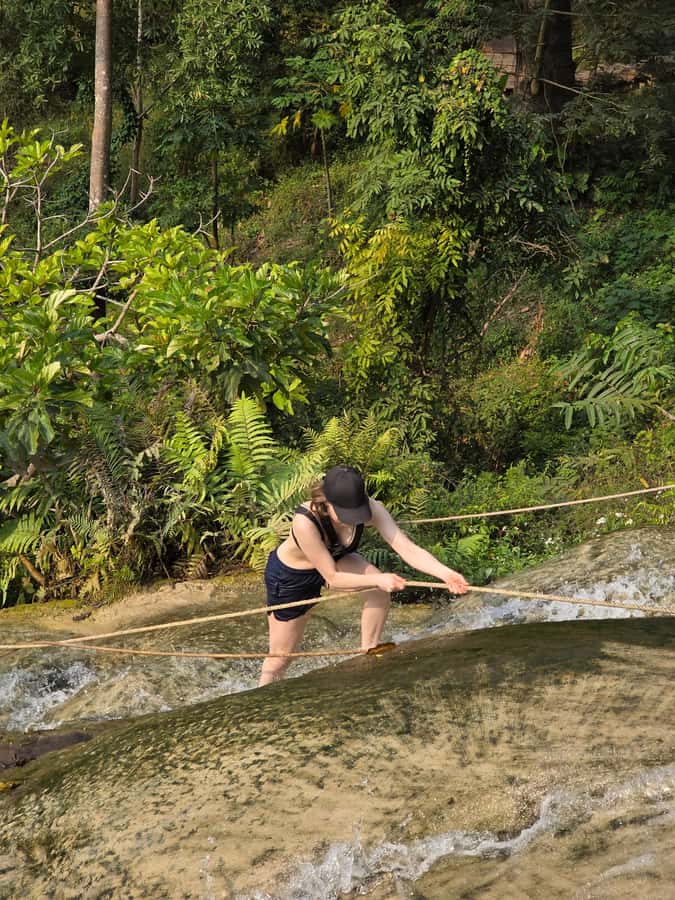 Chiang Mai : Sticky waterfall (Half Day Tour) Hotel Transfer - Transfers, Timing, and Self-Guided Reality: A Balanced Expectation