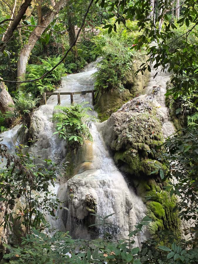 Chiang Mai : Sticky waterfall (Half Day Tour) Hotel Transfer - Final Call: Should You Book This Sticky Waterfall Tour?