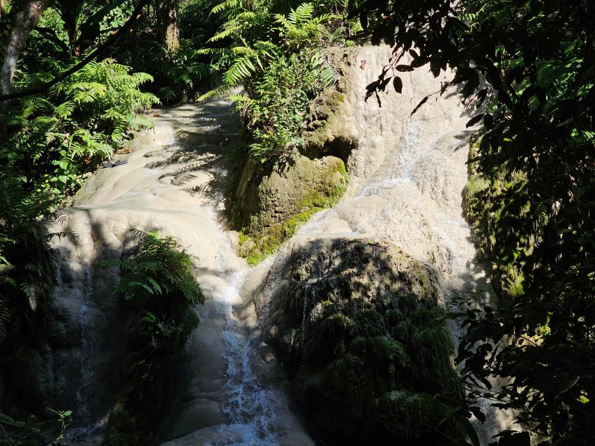 Chiang Mai: Sticky Waterfall Half-Day Tour & Hotel Transfers - Quick hits before you go