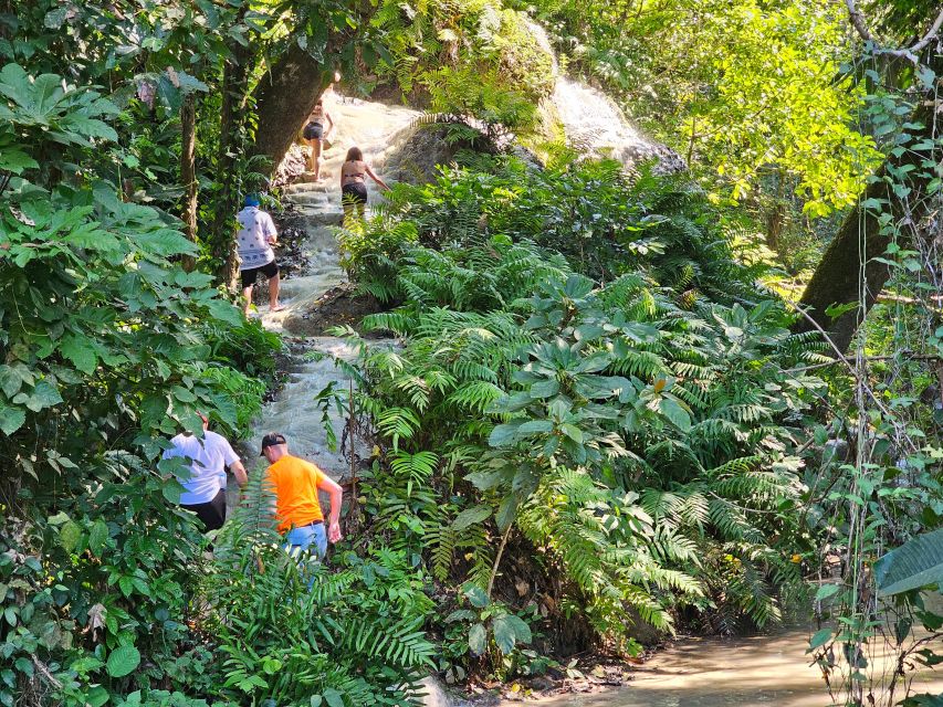 Chiang Mai: Sticky Waterfall Half-Day Tour & Hotel Transfers - Who this tour fits best (and who should think twice)